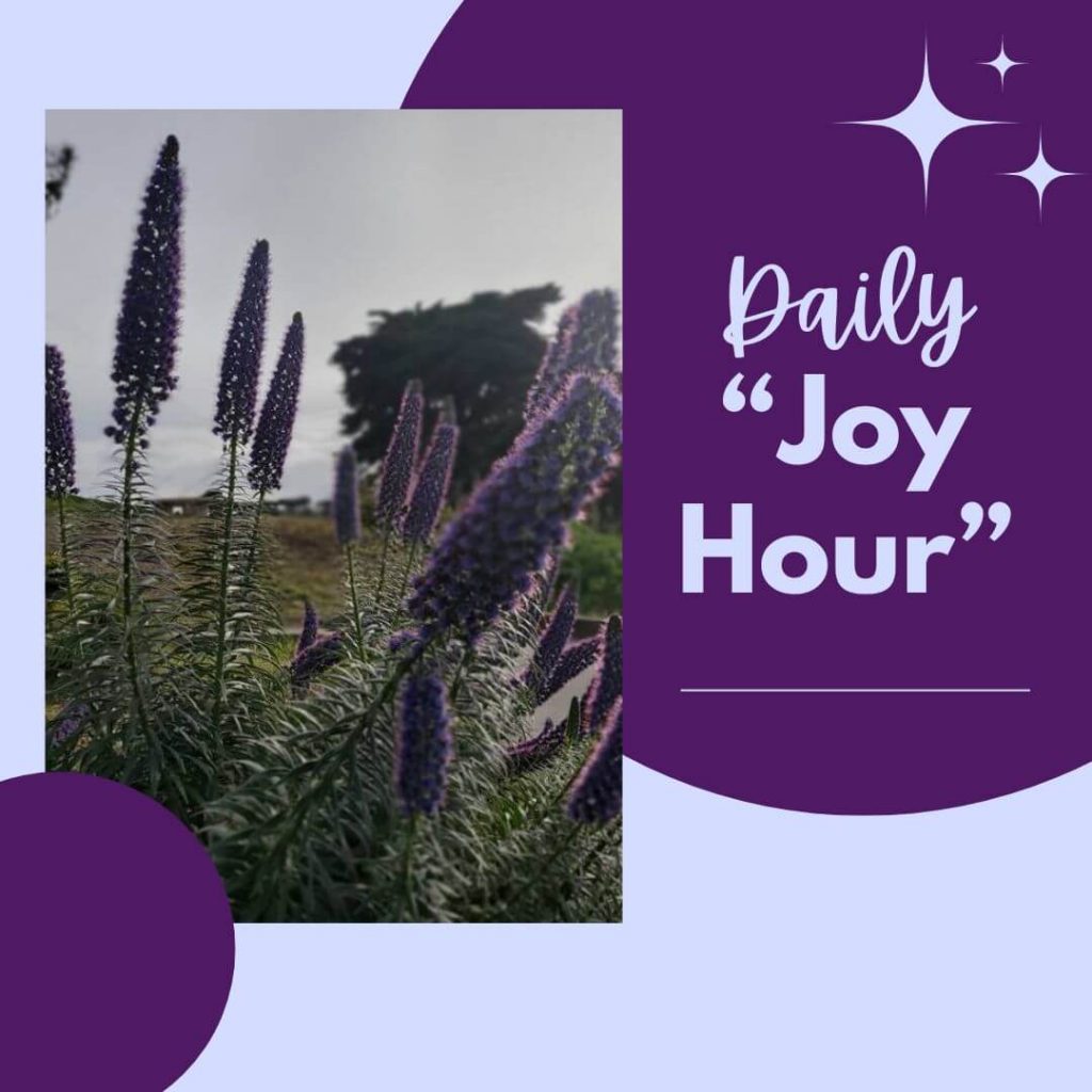 daily-joy-hour